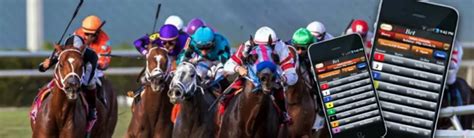 nmg fastbet|MetroTurf FastBet.